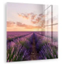 Landschap - Lavendelveld - Paars plexiglas 5mm klein -zzzproduct_nieuw