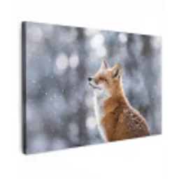 Vos - Sneeuwval - Portret - Winter - Sfeervol canvas 2cm klein -z3d