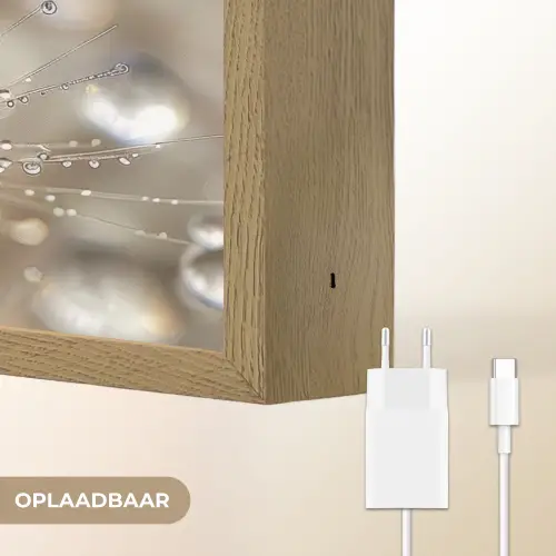 Natuur - Bloemen - Druppels - Regen Light Box met batterij (Wandlamp) middel -USP_websiteoplaadbaarNL