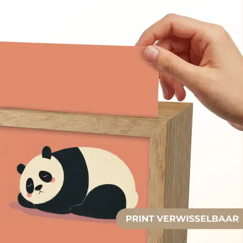 Panda - Slaap - Oranje Light Box met kabel (Kinderlampje) klein -USP_websiteprintNL