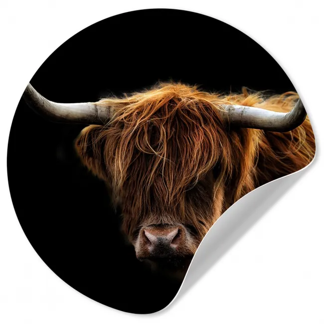 Schotse Hooglander - Horens - Zwart - Dieren - Natuur - Wild - Koe Wandcirkel behangsticker klein -3d