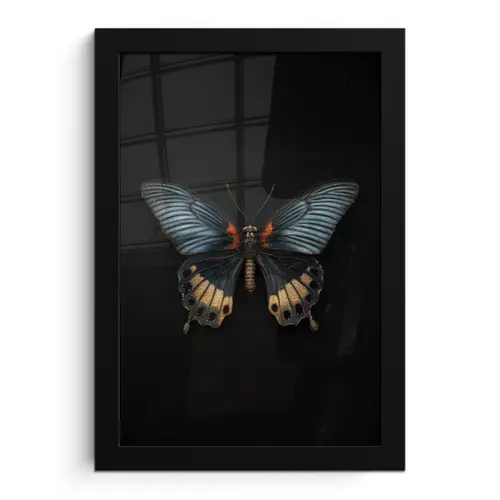 Vlinder - Metaalachtig - Geometrisch patroon fotolijst zwart zonder passe partout klein -3d