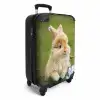Konijn in bloempot Koffer - NBS - Handbagage middel -productfoto_3d