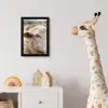 Schaap - Oog - Wit fotolijst zwart zonder passe partout klein -usfeer4_kinderkamer