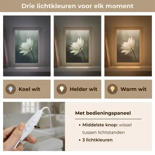Wit - Lotus - Donker - Bloem Light Box met kabel (Tafellamp) klein -USP_lichtkleurNL