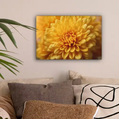 Geel - Chrysant - Zachtheid canvas 2cm klein -sfeer1