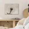 Paardenbloem - Minimalistisch - Wit PET vilt klein -sfeer3