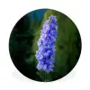 Bloemen - Blauw - Dennenboom Wandcirkel aluminium klein -3d