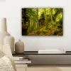Bomen - Steen - Bos - Natuur - Planten canvas 2cm klein -sfeer6