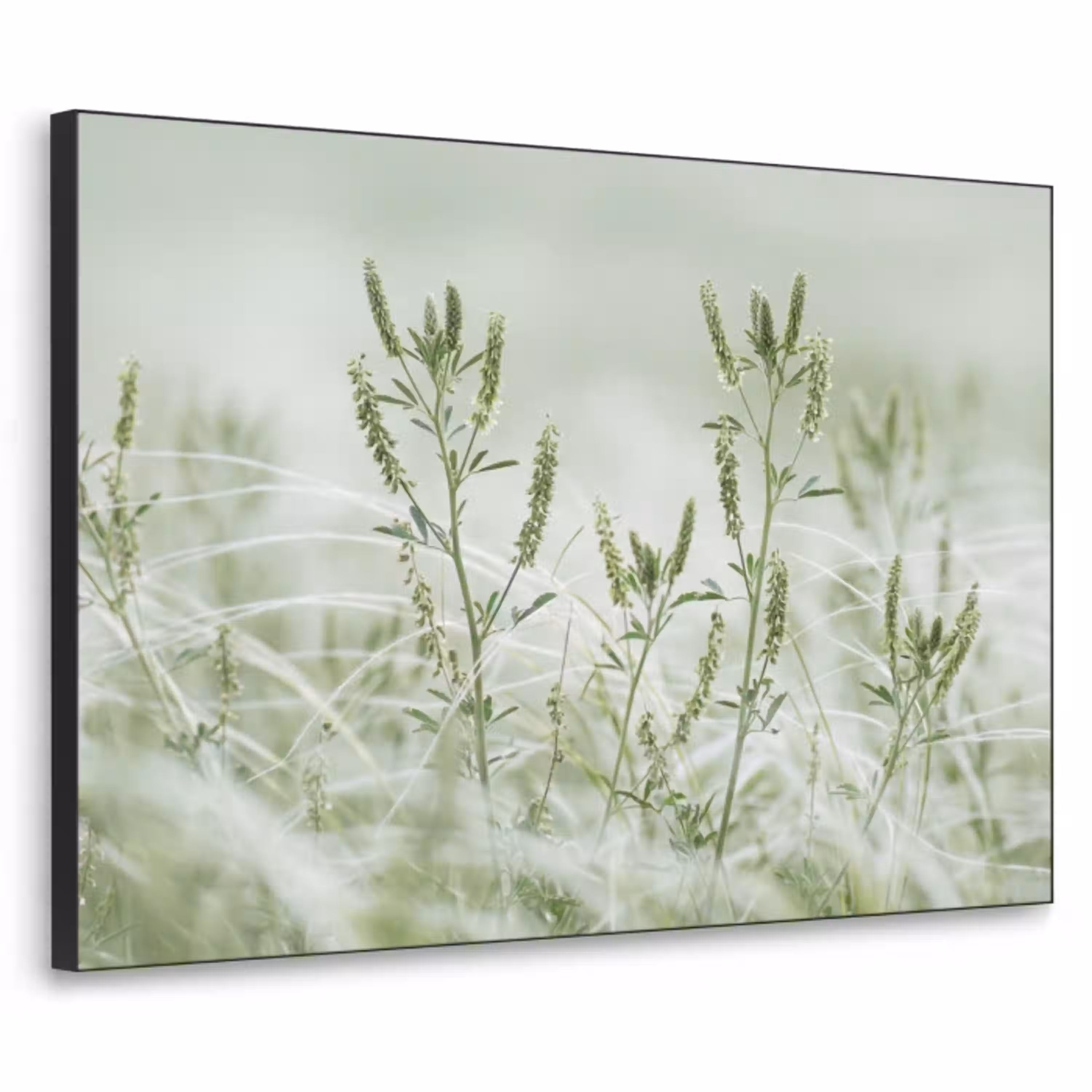 Grassen - Minimalistisch - Groen Textielframe zwart klein -3d