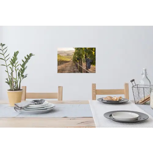 Druiven - Wijngaard - Zonlicht Muursticker klein -eettafel