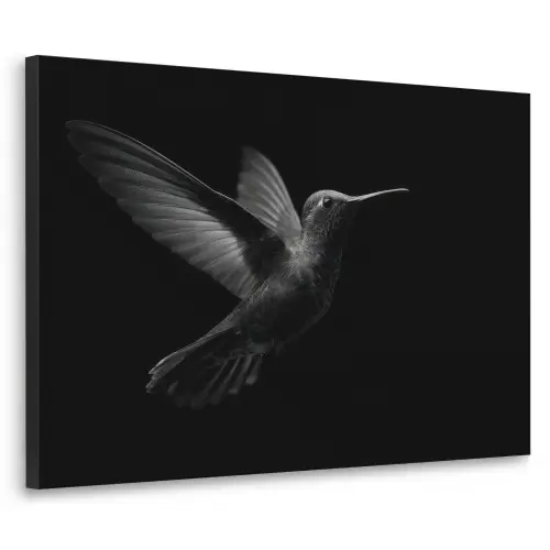 Kolibrie - Zwart - Dieren Textielframe zwart klein -3d