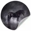 Paard - Magisch - Zwart Wandcirkel behangsticker klein -3d