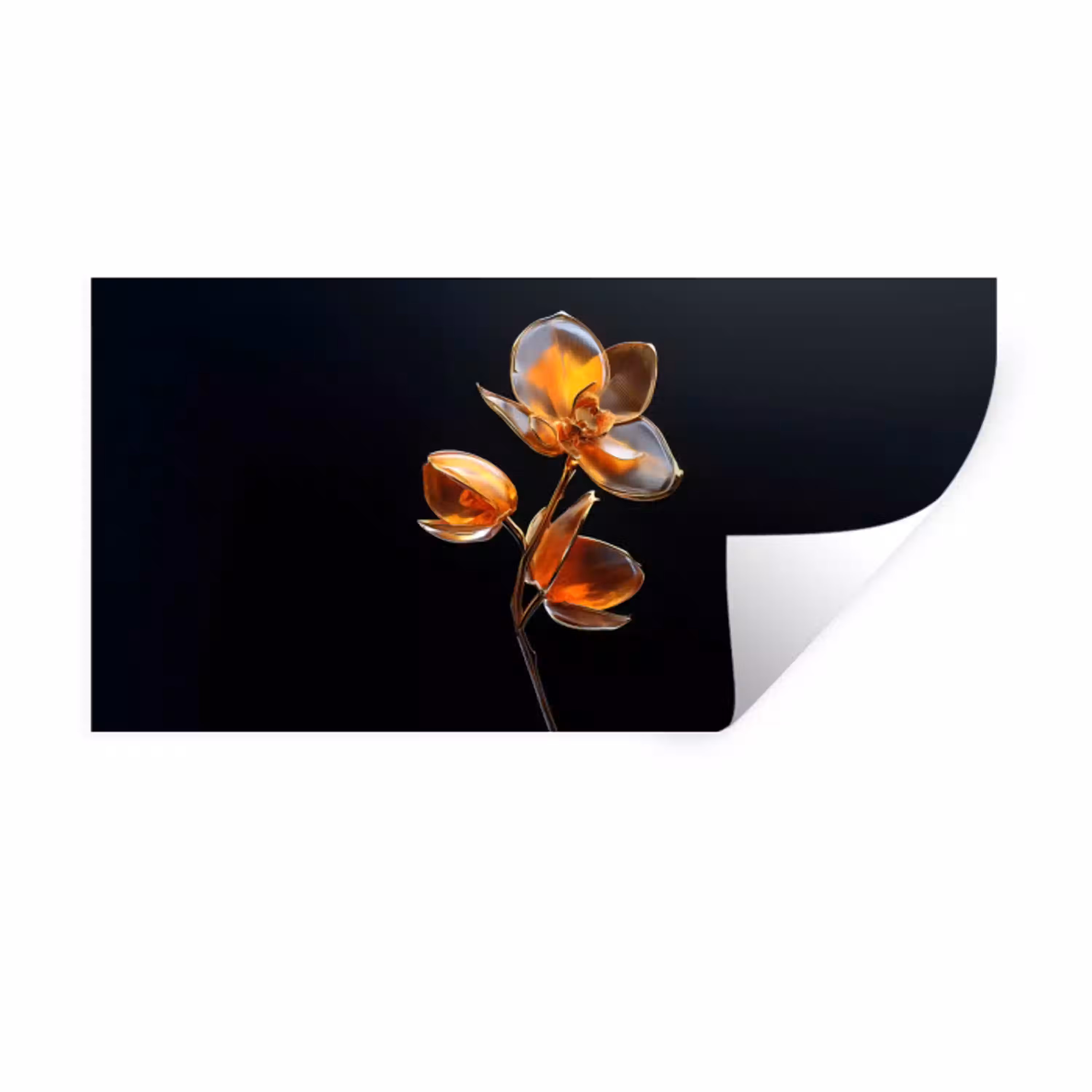Bloem - Orchidee - Oranje Muursticker klein -3d