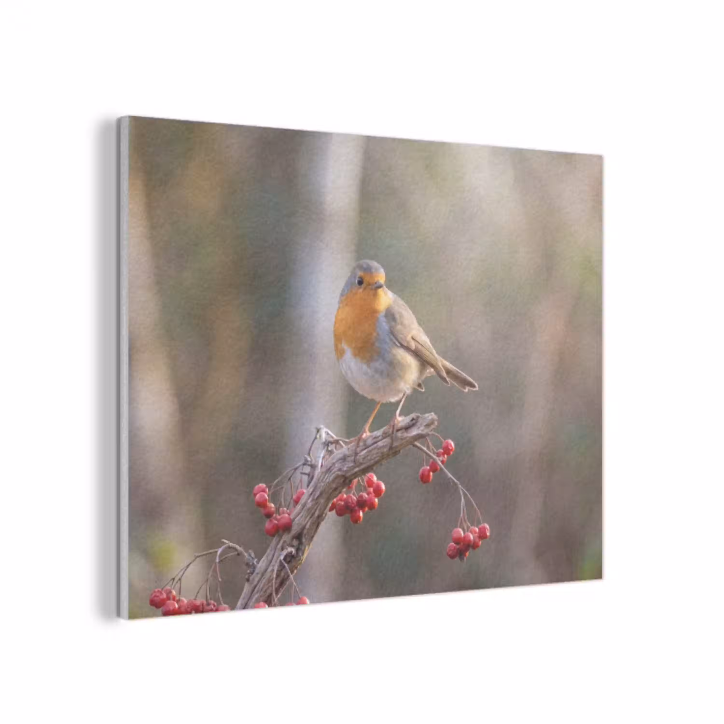 Roodborst - Tak - Bessen - Natuur PET vilt klein -3d