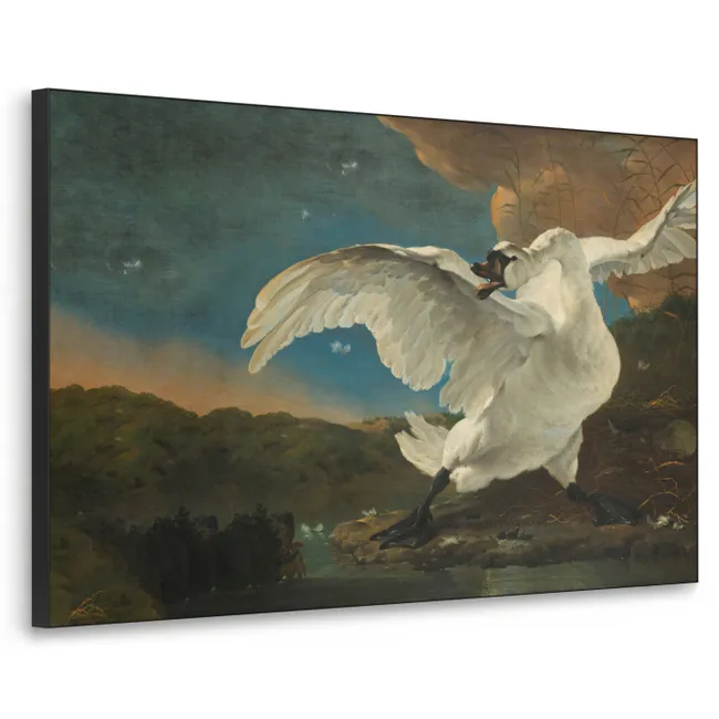 Art frame - Zwaan - Oude meesters - Jan Asselijn
