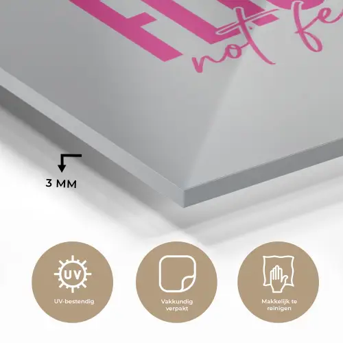Catch flights not feelings - Vliegtuig - Roze plexiglas 5mm klein -sfeer2
