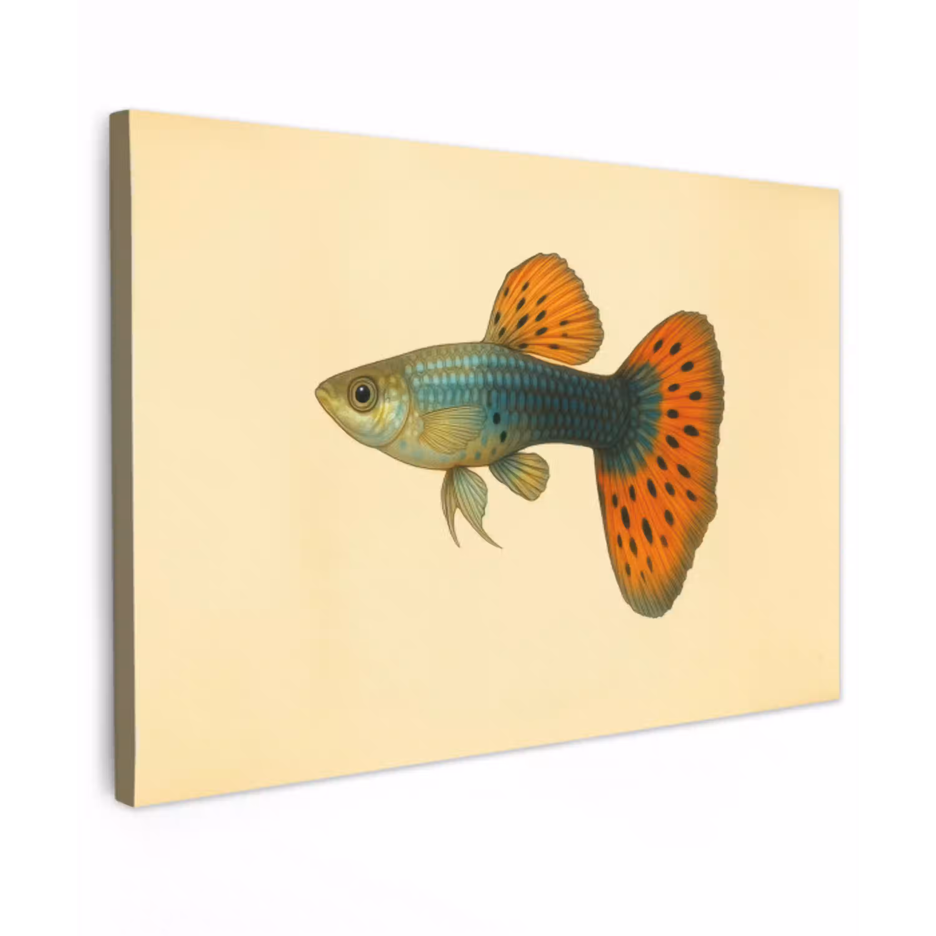 Vis - illustratie - Stippen - Oranje canvas 2cm klein -z3d