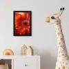 Oranje - Gerbera - Intens fotolijst zwart zonder passe partout klein -usfeer4_kinderkamer