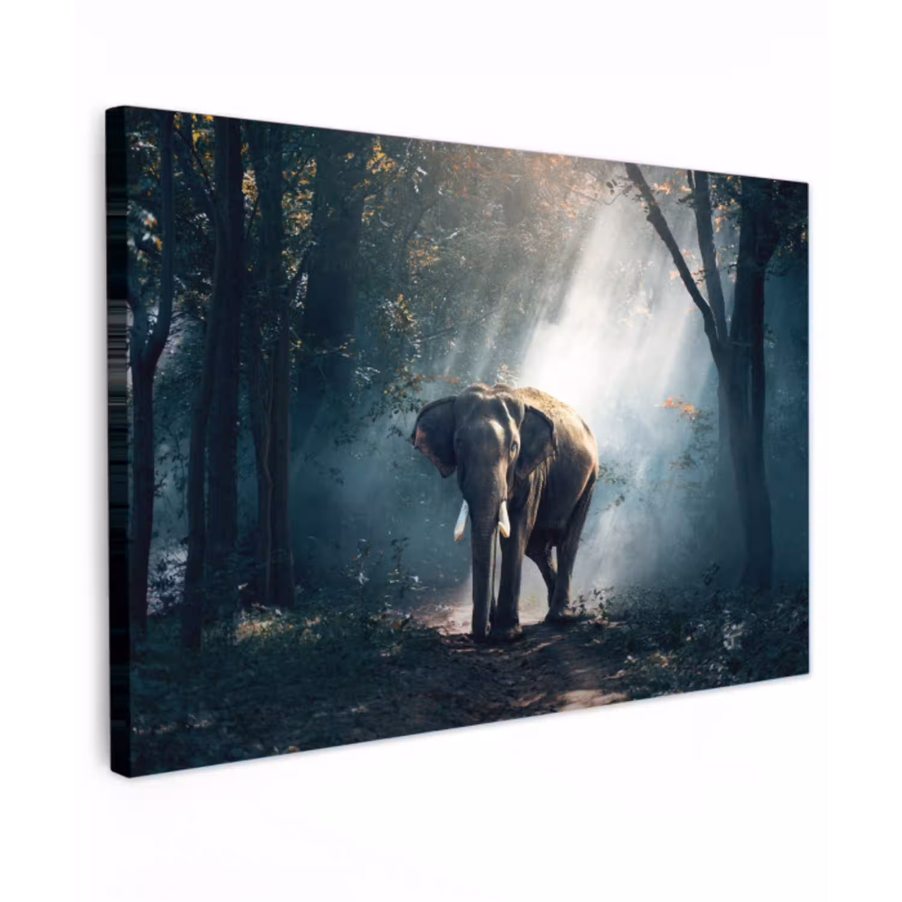 Olifant - Dieren - Licht - Bos - Natuur - Wilde dieren Tuinposter op houten frame 2 cm dik klein -3d