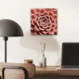 Vetplant - Organisch - Roze aluminium wit klein -sfeer5