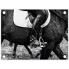 Paard - Sport - Zwart - Wit tuinposter los doek klein -3d