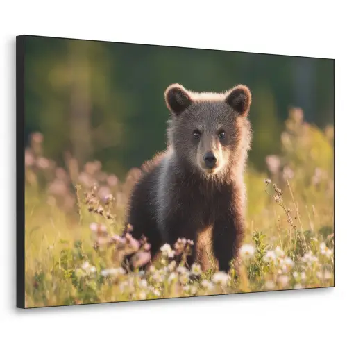 Beer - Bloemenveld - Gras Textielframe zwart klein -3d