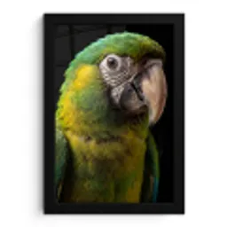 Ara - Portret - Groen fotolijst zwart zonder passe partout klein -3d