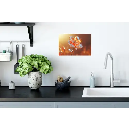 Glazen - Bloem - Zonlicht Muursticker klein -keuken