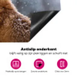 Vos - Sneeuwval - Portret - Winter - Sfeervol Inductie beschermer vinyl 3mm klein -wsfeer4_website