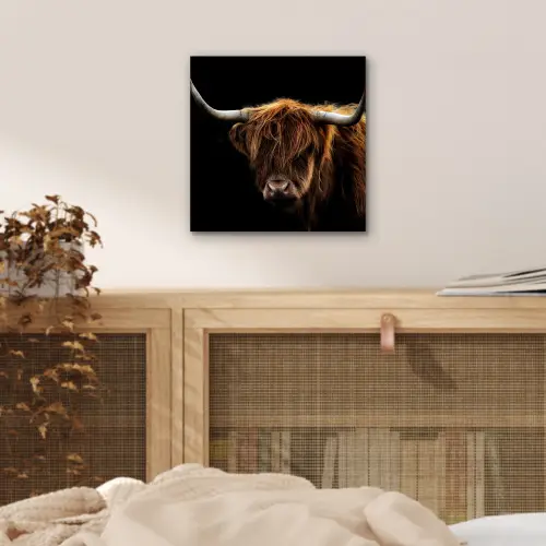 Schotse Hooglander - Horens - Zwart - Dieren - Natuur - Wild - Koe aluminium wit klein -sfeer3