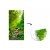 Jungle - Water - Bladeren - Zon - Natuur fotobehang vinyl groot -3d