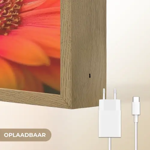 Oranje - Gerbera - Intens Light Box met batterij (Wandlamp) middel -USP_websiteoplaadbaarNL