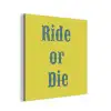 Ride or die - Geel - Blauw aluminium wit klein -3d