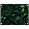 Bladeren - Ovaal - Groen - Nerven tuinposter los doek klein -3d