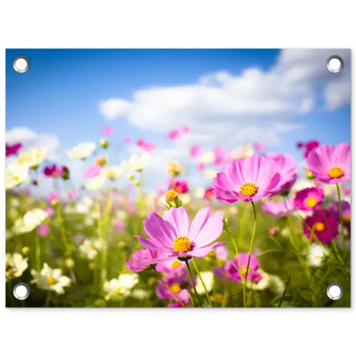 Bloemen - Wei - Paars - Gras - Wit - Wolken - Blauw tuinposter los doek klein -3d