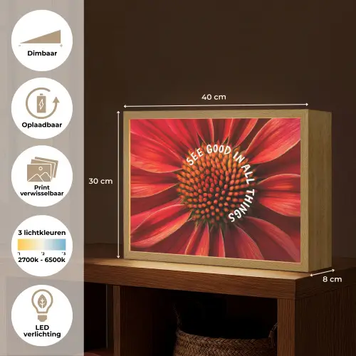Close up - Bloem - Quote - Rood Light Box met batterij (Wandlamp) middel -USP_websiteoverzichtNL
