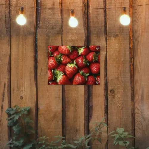 Aardbei - Fruit - Rood tuinposter los doek klein -sfeer1