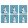 Dalmatiër - Zonnebril - Blauw onderzetter kurk middel -3d