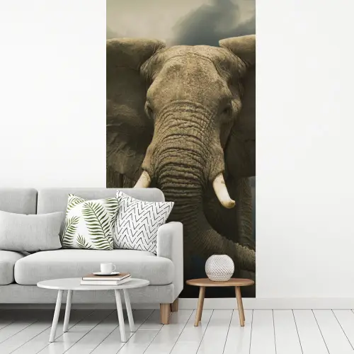 Afrikaanse olifant tegen de donkere wolken fotobehang vinyl groot -woonkamer