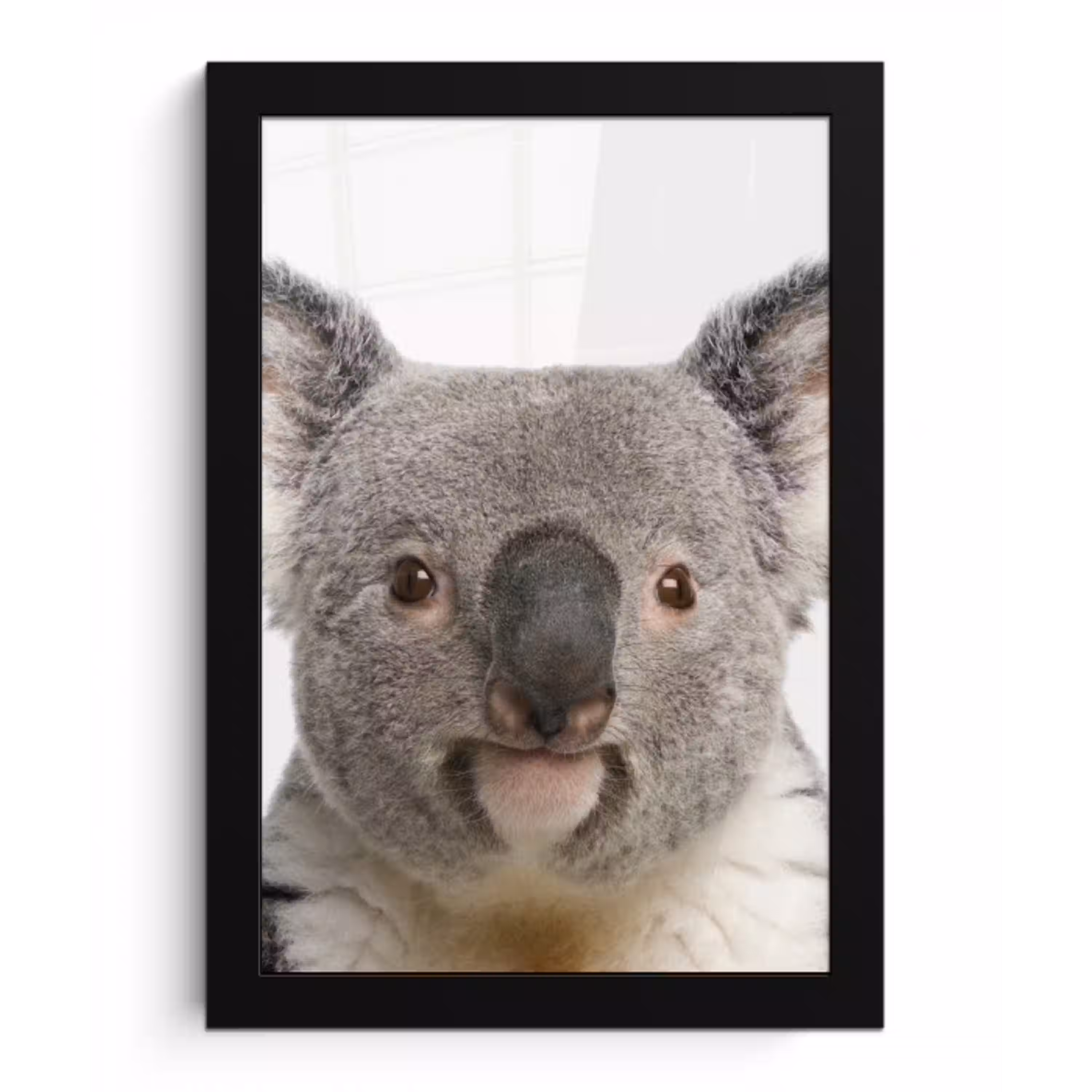 Koala - Koala beer - Meisjes - Jongens - Kinderen - Dieren fotolijst zwart zonder passe partout klein -3d