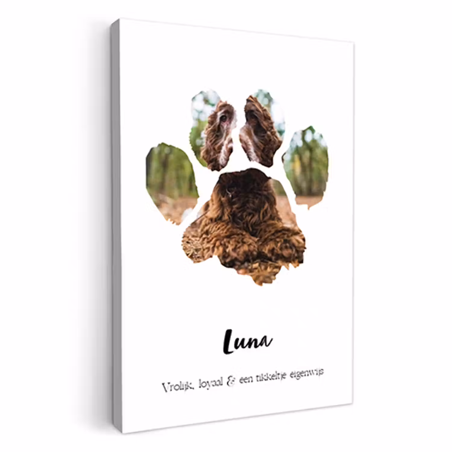 Canvas - Dierenpootje