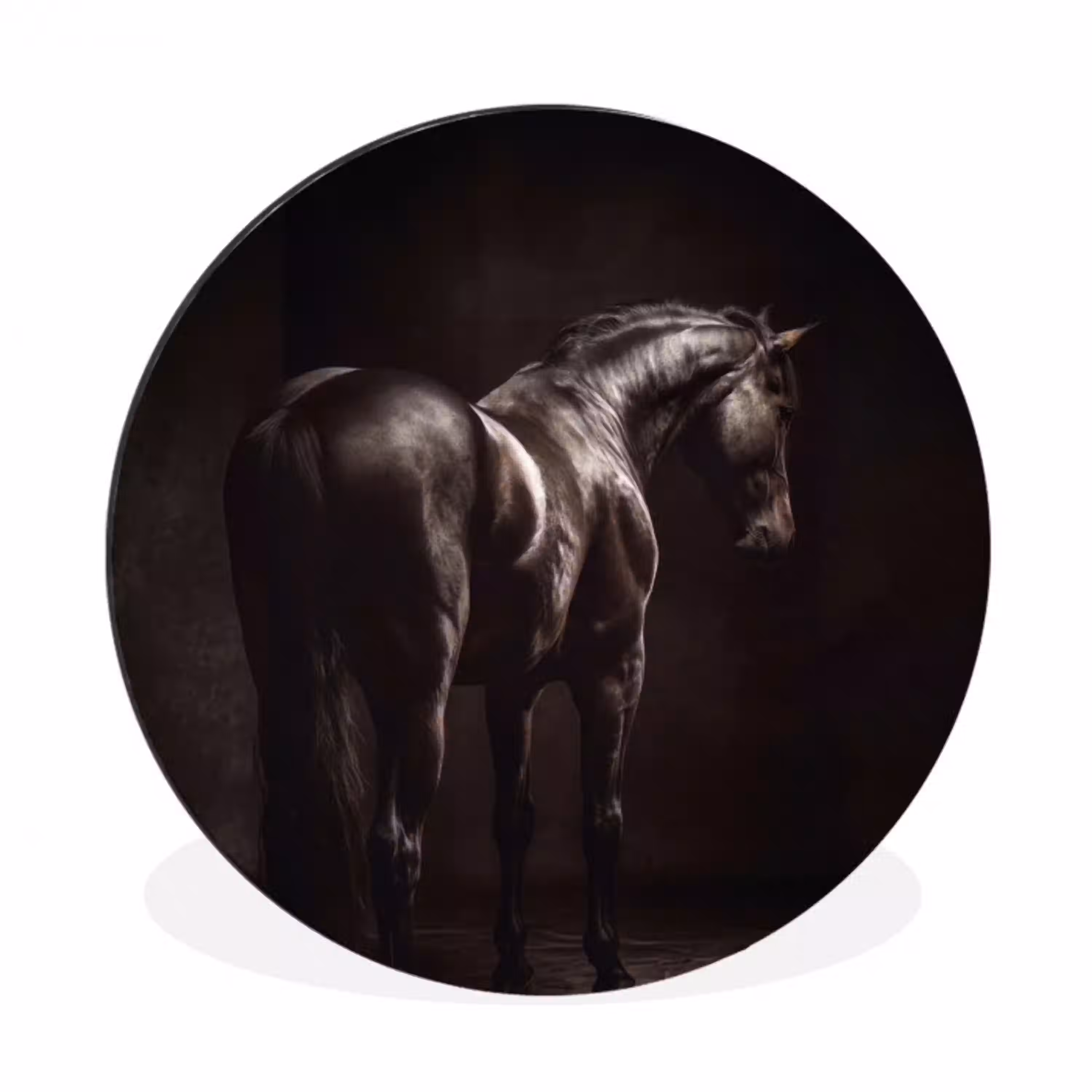 Krachtig - Paard - Donker Wandcirkel aluminium klein -3d
