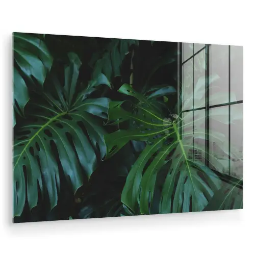 Monstera - Jungle - Bladeren plexiglas 5mm klein -zzzproduct_nieuw