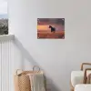 Paard - Wolken - Open veld tuinposter los doek klein -sfeer8