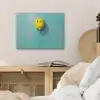 Ballon - Geel - Smiley PET vilt klein -sfeer3