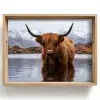 Schotse hooglander - Bruin - Water Dienblad Rechthoek middel -z3d_shopping