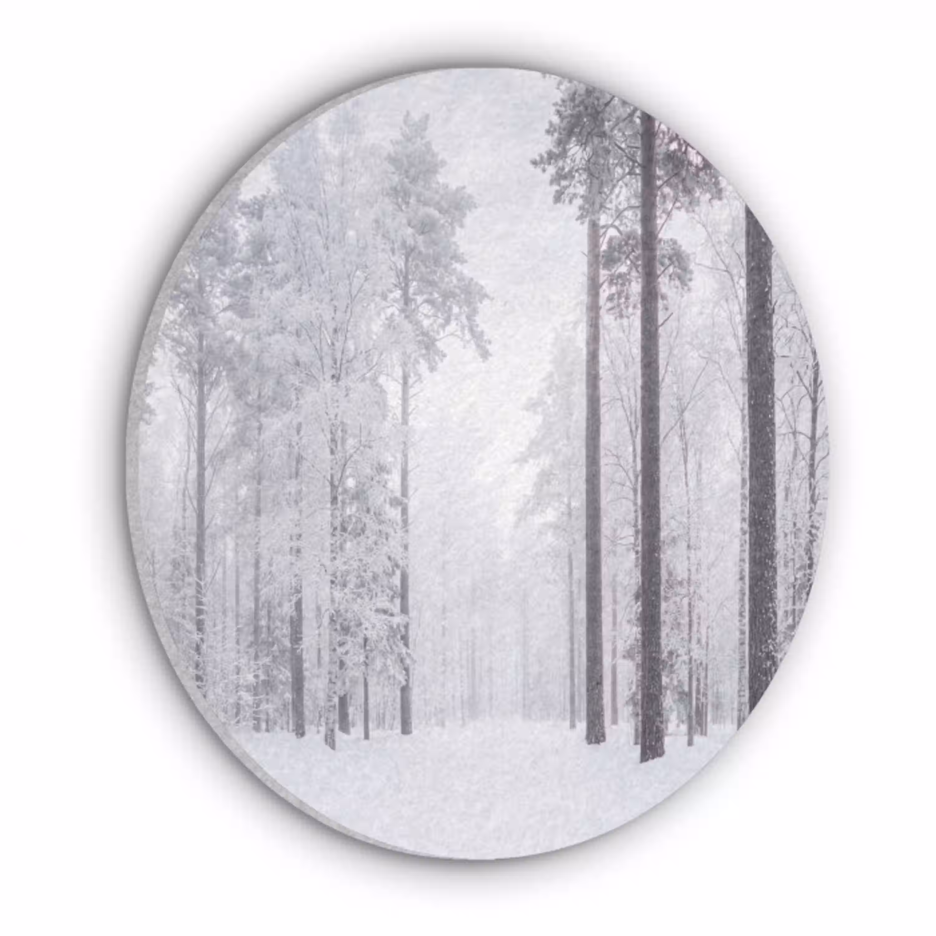 Bos - Sneeuw - Pad - Winter - Stilte Akoestische PET Vilt - Rond klein -3d