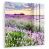 Lavendel - Bloemen - Zonsondergang - Paars - Weide plexiglas 5mm klein -zzzproduct_nieuw