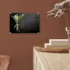 bloemen-5-1-1 plexiglas 5mm klein -sfeer5